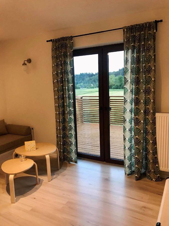 Apartament Przy Potoku Zubrzyca Gorna エクステリア 写真