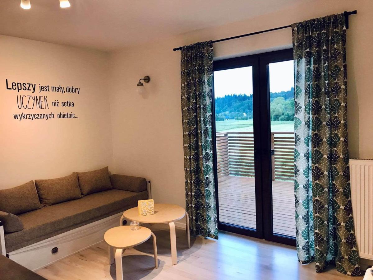 Apartament Przy Potoku Zubrzyca Gorna エクステリア 写真