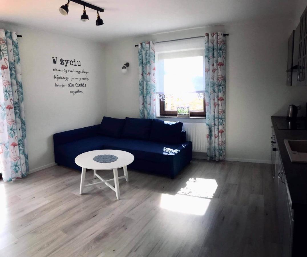 Apartament Przy Potoku Zubrzyca Gorna エクステリア 写真